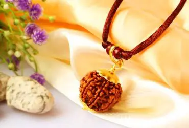 Rudraksha