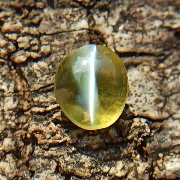 Cat Eye Crystal (Lehsunia)