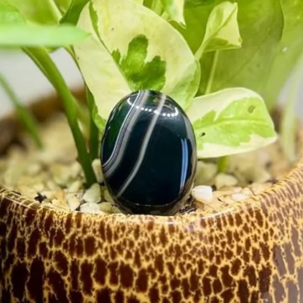 Natural Kala Hakeek