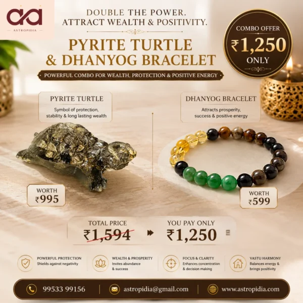 DhanYog Bracelet & Pyrite Turtle Combo Pack